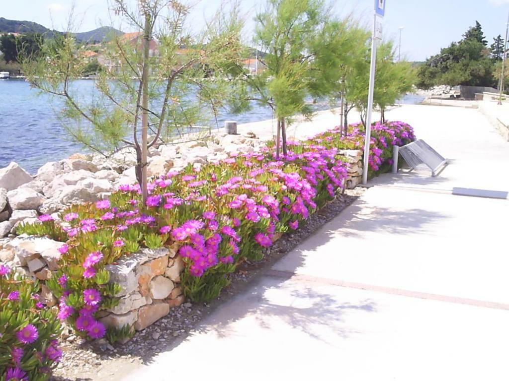 Beach Apartment M & B Poljana  Exterior photo